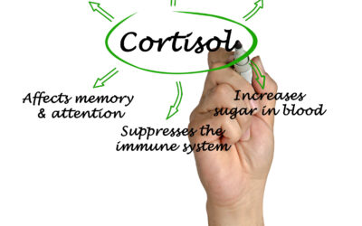Stress, Cortisol, and Weight Gain: Unlocking the Connection and Winning the Battle