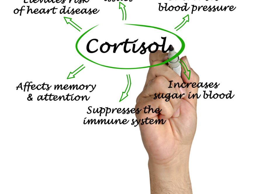 Stress, Cortisol, and Weight Gain: Unlocking the Connection and Winning the Battle