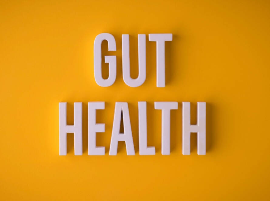Gut Health and Weight Loss: Why Your Microbiome Might Be Holding You Back